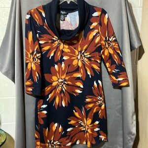 Unique and beautiful tunic/dress. Size small. Cowel neck. Papillon brand.